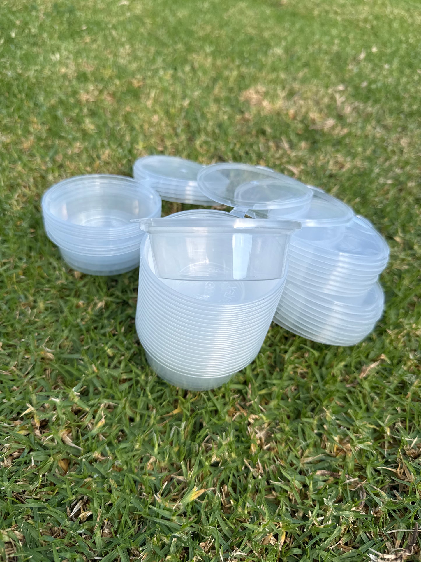 Mixing pot - bulk pack x50 pieces