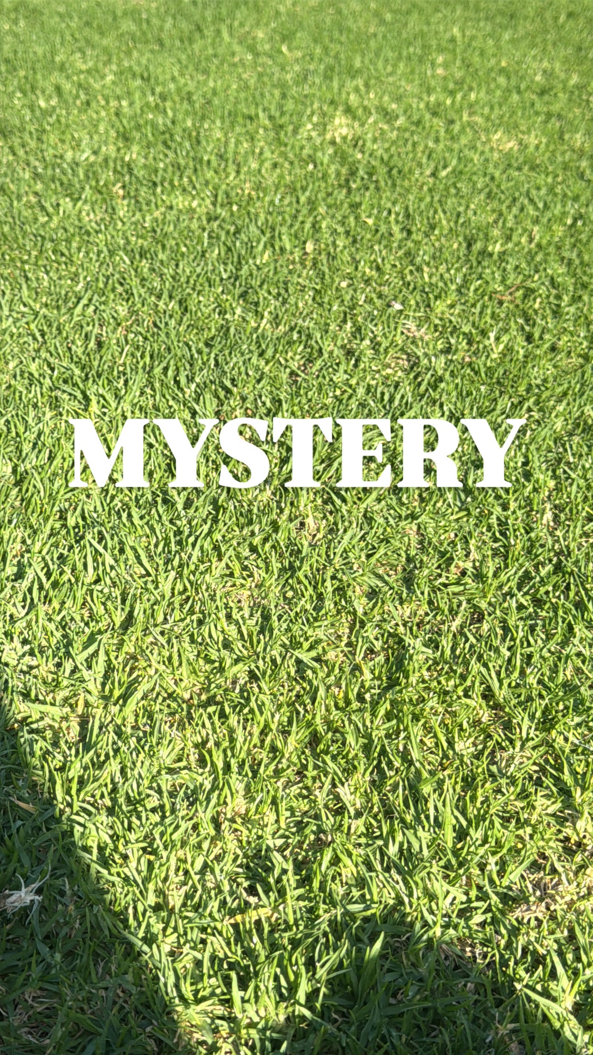 MYSTERY - SNOW GLOBE $3.6