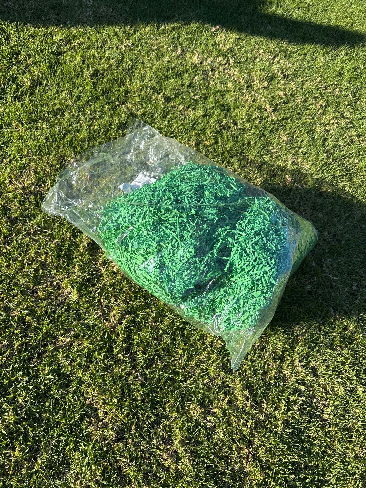 Shredded paper green 690gm