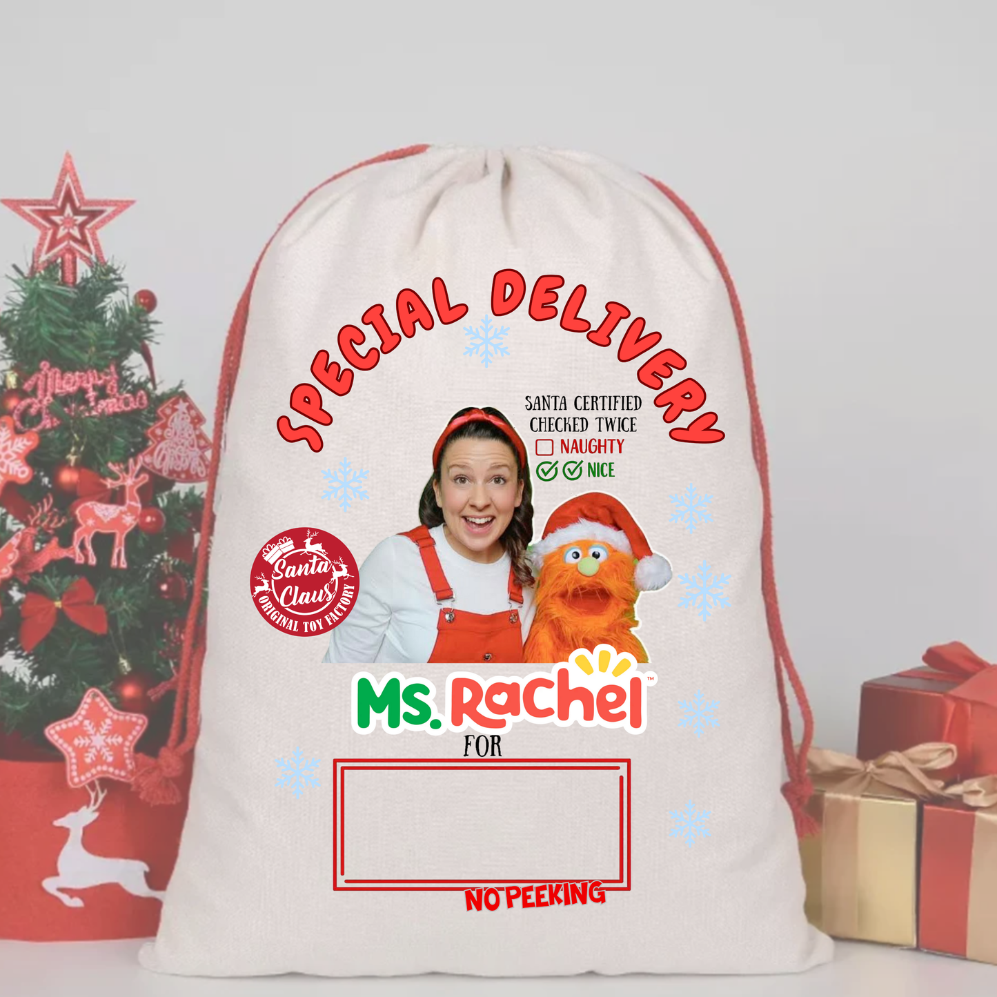 MS RACHEL SANTA SACK DTF – SPECIAL DELIVERY DTF Print 🎅💌 pre order OCTOBER