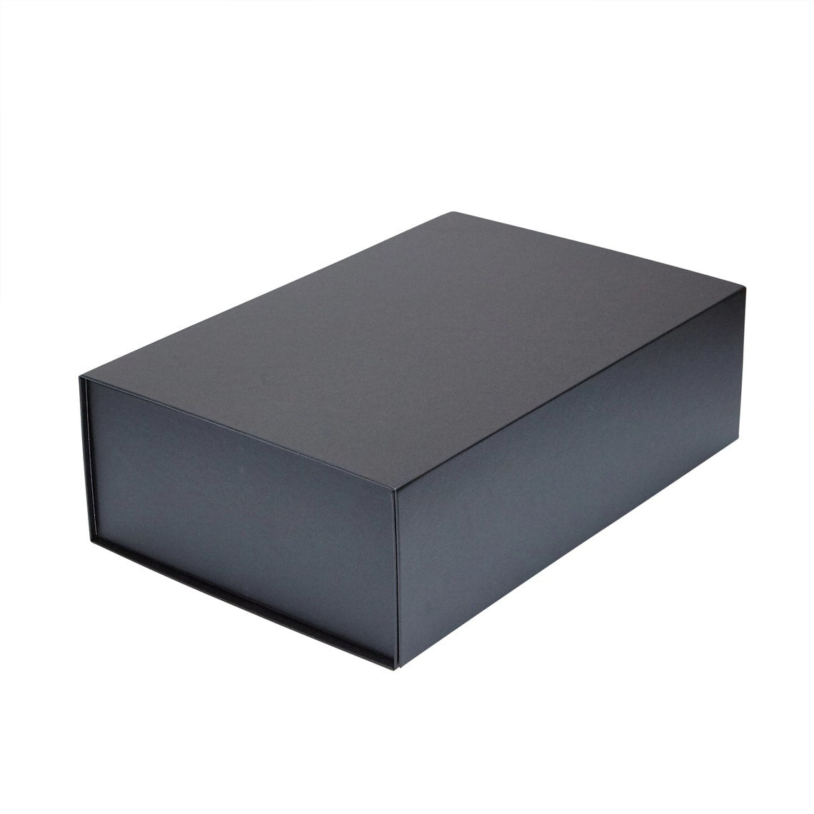 220L x 160W x 95H mm