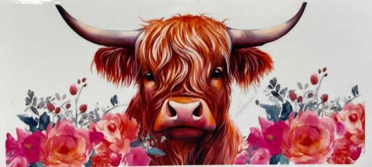 16oz UV DTF Libbey Wrap Highland Cow Pink Orange #A174