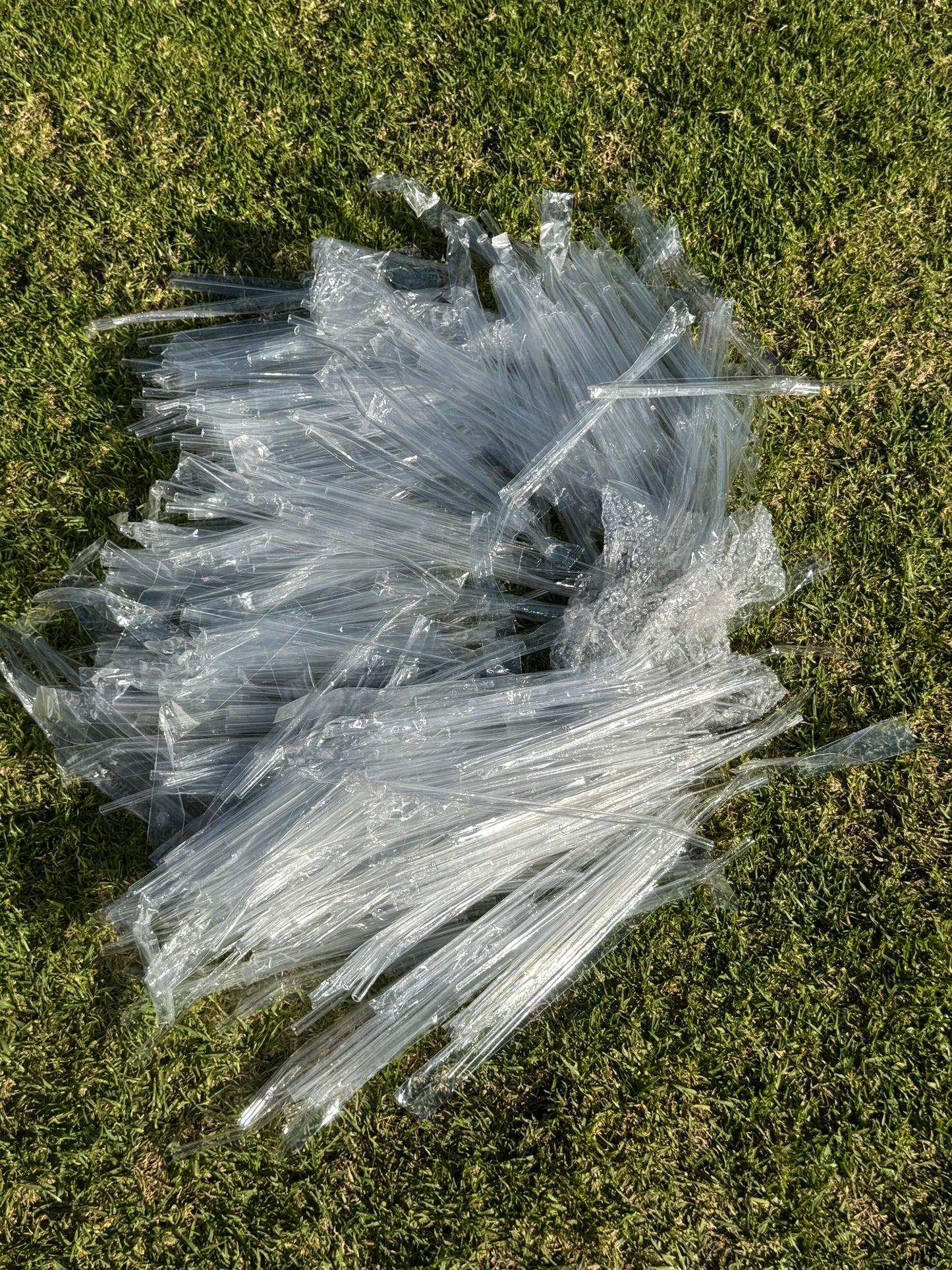 $15 BULK PACK GLASS