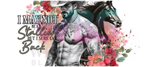 16oz UV DTF Libbey Wrap Tatt Boy Cowboy i may not be a stallion but i sure can buck #333