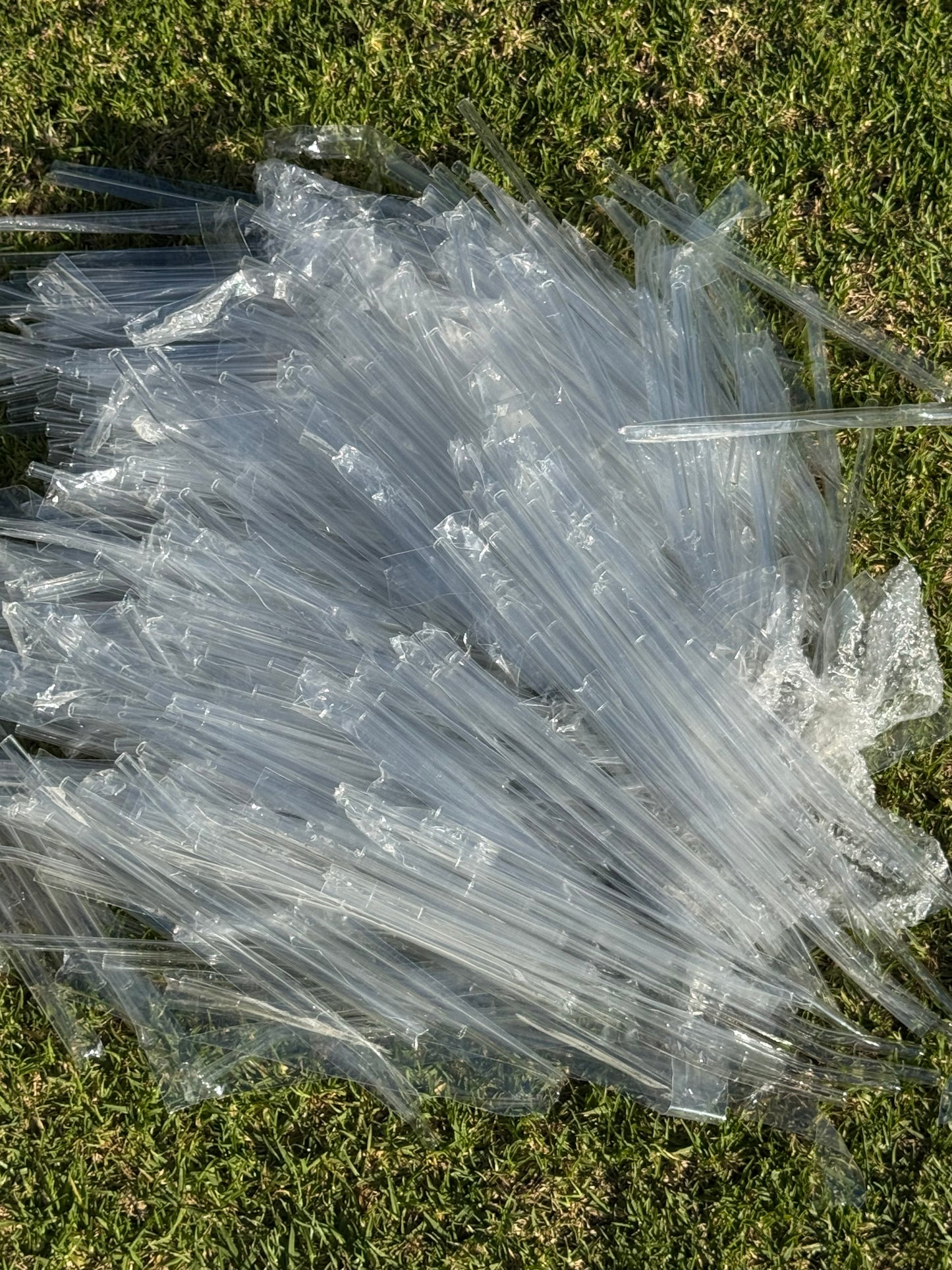 $15 BULK PACK GLASS