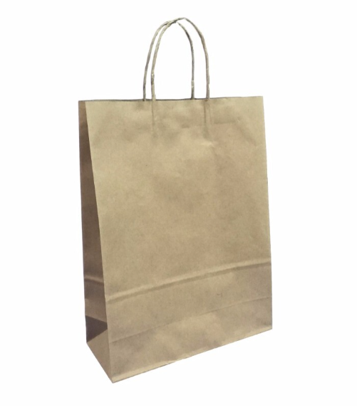 Paper Carry Bag  20 X 17CM