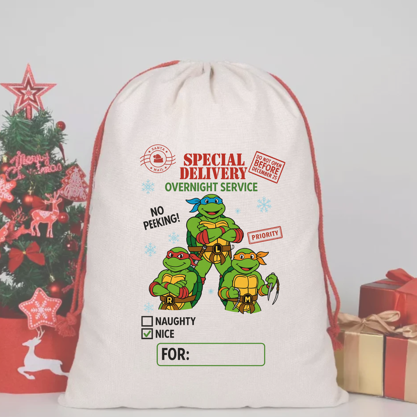 TMNT Turtles Teenage Mutant Ninja Turtles SACK DTF – SPECIAL DELIVERY DTF Print  🎅💌 pre order