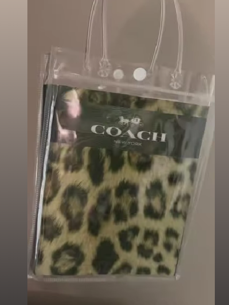 Gift Bags clear